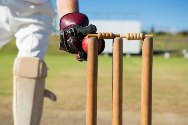 Cricket keeper catches the ball on the field Stock Photo