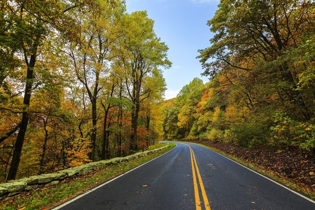 a road in the fall - Download Free Stock Photos Pikwizard.com