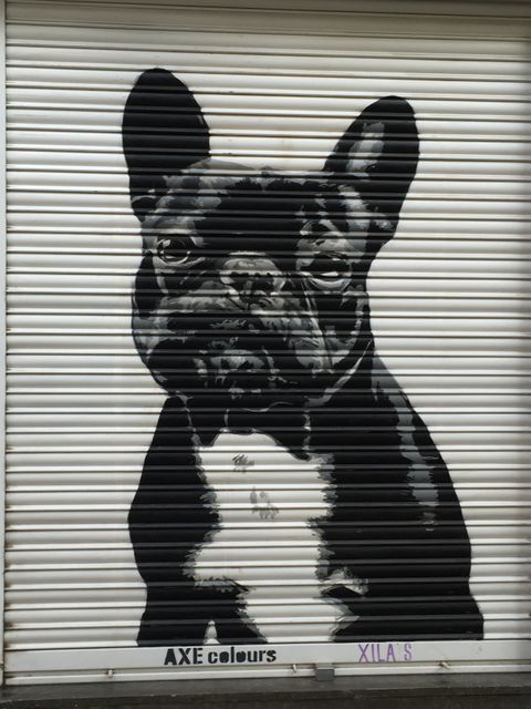 Dog sad street art - Download Free Stock Photos Pikwizard.com