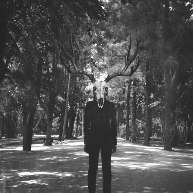 Male Man Silhouette - Download Free Stock Photos Pikwizard.com