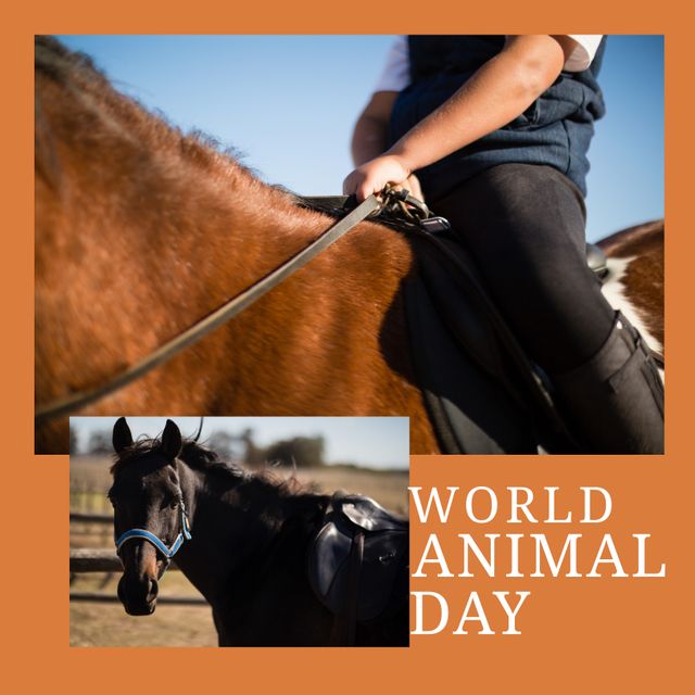 Composition of world animal day text over biracial boy riding horse on orange background. World animal day and celebration concept digitally generated image.