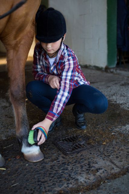 Girl grooming the horse - Download Free Stock Photos Pikwizard.com