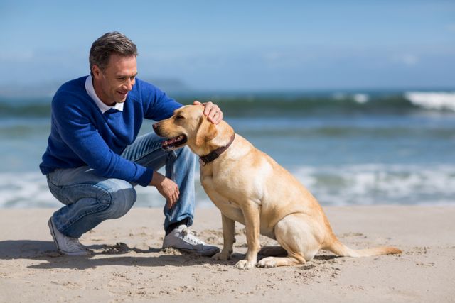 Mature man with his dog on the beach - Download Free Stock Photos Pikwizard.com