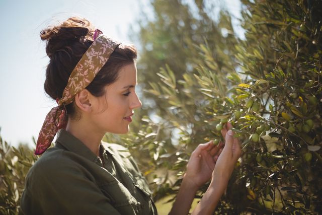 Woman holding olive tree at farm on sunny day - Download Free Stock Photos Pikwizard.com