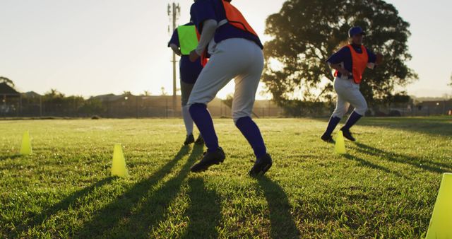 Diverse group of female baseball players exercising on pitch, running between cones - Download Free Stock Photos Pikwizard.com
