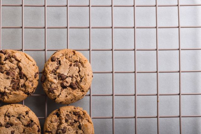 Directly above shot of cookies on cooling rack over gray background, copy space. unaltered, food, studio shot and snack.