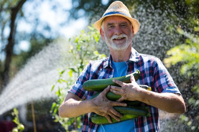 Senior man holding fresh zucchini in vegetable garden - Download Free Stock Photos Pikwizard.com