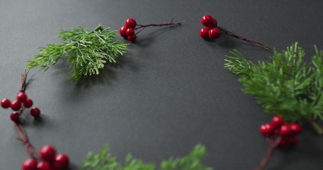 Image of christmas decoration sprigs with red berries and copy space on black background - Download Free Stock Photos Pikwizard.com