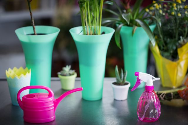 Flower vase, watering can, pot plant and spray bottle on table - Download Free Stock Photos Pikwizard.com