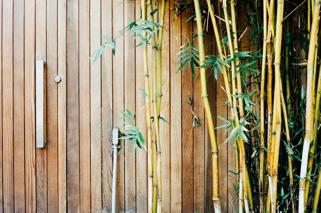 Wood bamboo gate  - Download Free Stock Photos Pikwizard.com