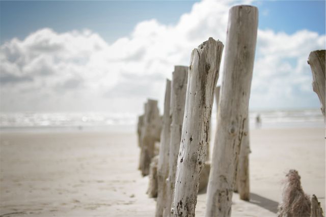 Wood posts beach  - Download Free Stock Photos Pikwizard.com