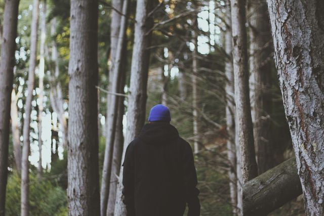 a person walking through a forest - Download Free Stock Photos Pikwizard.com