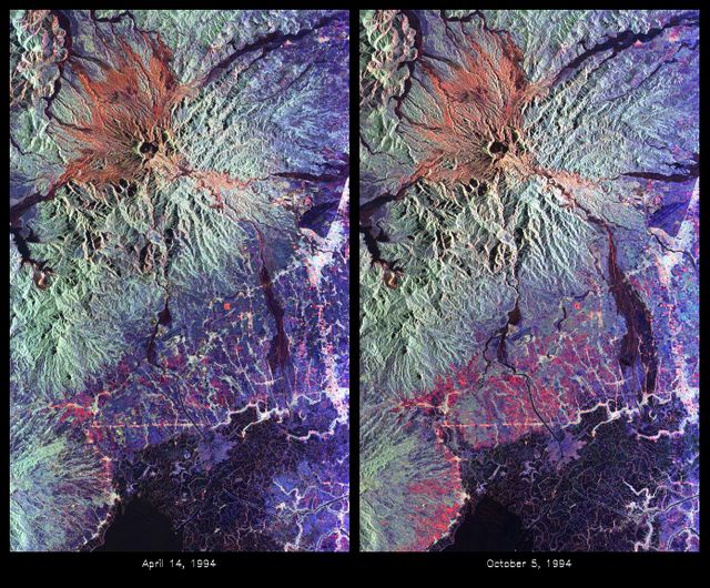 These are color composite radar images showing the area around Mount Pinatubo in the Philippines. The images were acquired by the Spaceborne Imaging Radar-C and X-band Synthetic Aperture Radar (SIR-C/X-SAR) aboard the space shuttle Endeavour on April 14, 1994 (left image) and October 5,1994 (right image). The images are centered at about 15 degrees north latitude and 120.5 degrees east longitude. Both images were obtained with the same viewing geometry.  The color composites were made by displaying the L-band (horizontally transmitted and received) in red; the L-band (horizontally transmitted and vertically received) in green; and the C-band (horizontally transmitted and vertically received) in blue. The area shown is approximately 40 kilometers by 65 kilometers (25 miles by 40 miles). The main volcanic crater on Mount Pinatubo produced by the June 1991 eruptions and the steep slopes on the upper flanks of the volcano are easily seen in these images. Red on the high slopes shows the distribution of the ash deposited during the 1991 eruption, which appears red because of the low cross-polarized radar returns at C and L bands. The dark drainages radiating away from the summit are the smooth mudflows, which even three years after the eruptions continue to flood the river valleys after heavy rain.  Comparing the two images shows that significant changes have occurred in the intervening five months along the Pasig-Potrero rivers (the dark area in the lower right of the images). Mudflows, called "lahars," that occurred during the 1994 monsoon season filled the river valleys, allowing the lahars to spread over the surrounding countryside. Three weeks before the second image was obtained, devastating lahars more than doubled the area affected in the Pasig-Potrero rivers, which is clearly visible as the increase in dark area on the lower right of the images. Migration of deposition to the east (right) has affected many communities. Newly affected areas included the community of Bacolor, Pampanga, where thousands of homes were buried in meters of hot mud and rock as 80,000 people fled the lahar-stricken area. Scientists are closely monitoring the westward migration ( toward the left in this image) of the lahars as the Pasig-Potrero rivers seek to join with the Porac River, an area that has not seen laharic activity since the eruption. This could be devastating because the Pasig-Potrero rivers might be permanently redirected to lower elevations along the Porac River where communities are located. Ground saturation with water during the rainy season reveals inactive channels that were dry in the April image. A small lake has turned into a pond in the lower reaches of the Potrero River because the channels are full of lahar deposits and the surface runoff has no where to flow. Changes in the degree of erosion in ash and pumice deposits from the 1991 eruption can also be seen in the channels that deliver the mudflow material to the Pasig-Potrero rivers.  The 1991 Mount Pinatubo eruption is well known for its near-global effects on the atmosphere and short-term climate due to the large amount of sulfur dioxide that was injected into the upper atmosphere. Locally, however, the effects will most likely continue to impact surrounding areas for as long as the next 10 to 15 years. Mudflows, quite certainly, will continue to pose severe hazards to adjacent areas. Radar observations like those obtained by SIR-C/X-SAR will play a key role in monitoring these changes because of the radar's ability to see in daylight or darkness and even in the worst weather conditions. Radar imaging will be particularly useful, for example, during the monsoon season, when the lahars form. Frequent imaging of these lahar fields will allow scientists to better predict when they are likely to begin flowing again and which communities might be at risk.  http://photojournal.jpl.nasa.gov/catalog/PIA01743
