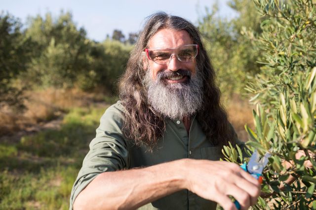 Portrait of happy man pruning olive tree in farm - Download Free Stock Photos Pikwizard.com