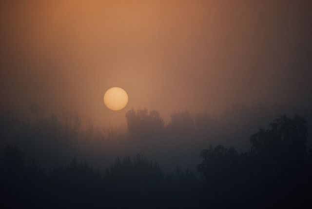 Sunrise morning dawn - Download Free Stock Photos Pikwizard.com