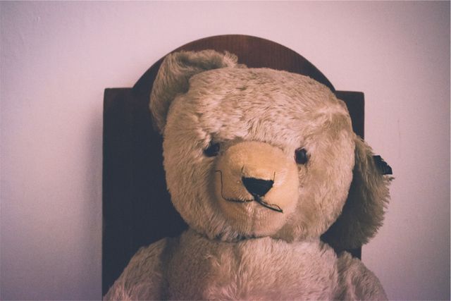 Teddy bear stuffed animal  - Download Free Stock Photos Pikwizard.com