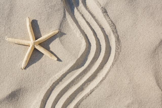 Starfish and zen pattern on sand - Download Free Stock Photos Pikwizard.com