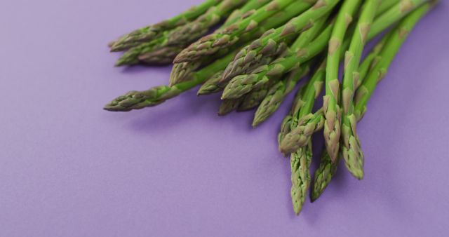 Image of close up of fresh asparagus with copy space over lilac background - Download Free Stock Photos Pikwizard.com