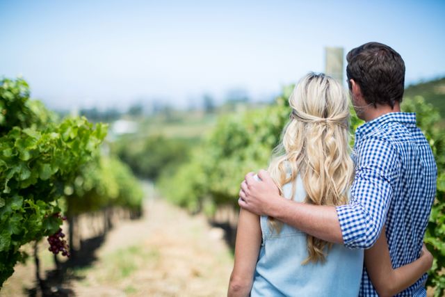 Rear view of couple embracing at vineyard - Download Free Stock Photos Pikwizard.com