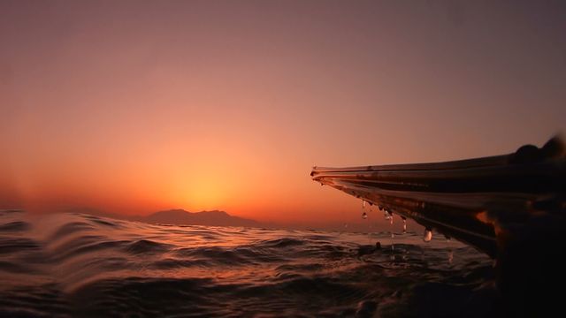 Speedboat Cruising during Sunset - Download Free Stock Photos Pikwizard.com