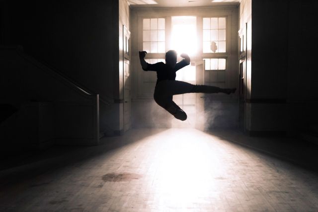 Silhouette of A Person Flying Kick Inside A Room - Download Free Stock Photos Pikwizard.com