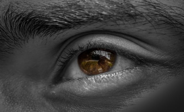 Grayscale Photography of Human Left Eye - Download Free Stock Photos Pikwizard.com