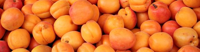 Agriculture apricots background delicious - Download Free Stock Photos Pikwizard.com