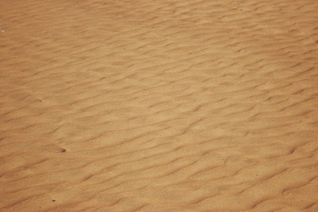 Sand desert  - Download Free Stock Photos Pikwizard.com