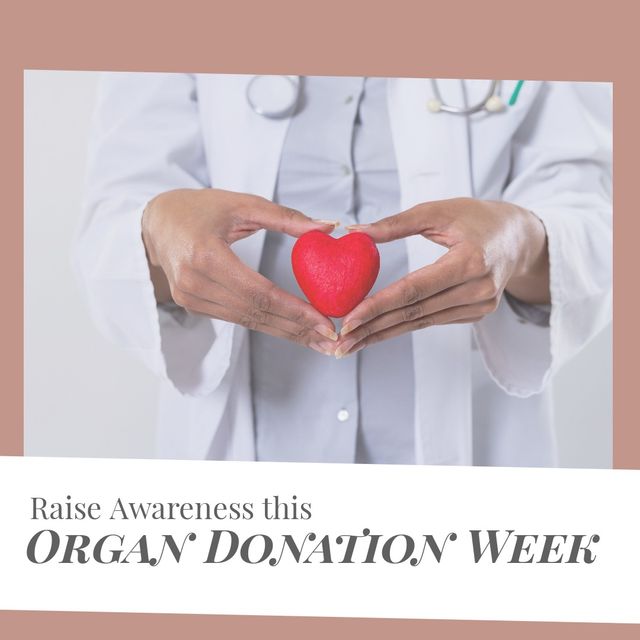 Biracial female doctor holding red heart shape, raise awareness this organ donation week in frame - Download Free Stock Templates Pikwizard.com