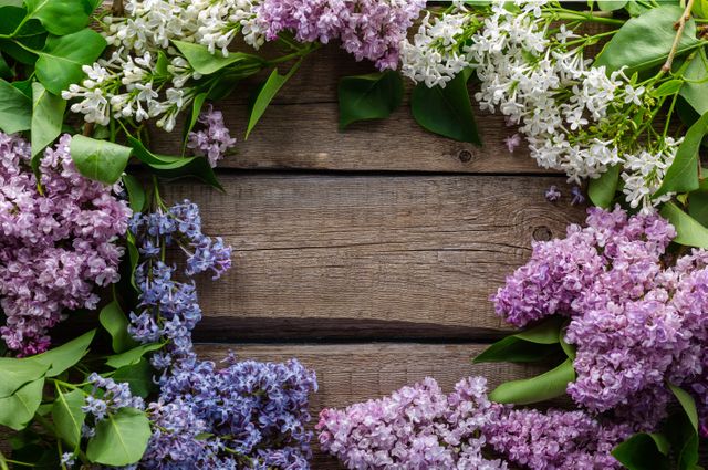 a wreath of lilas on a wooden table - Download Free Stock Photos Pikwizard.com