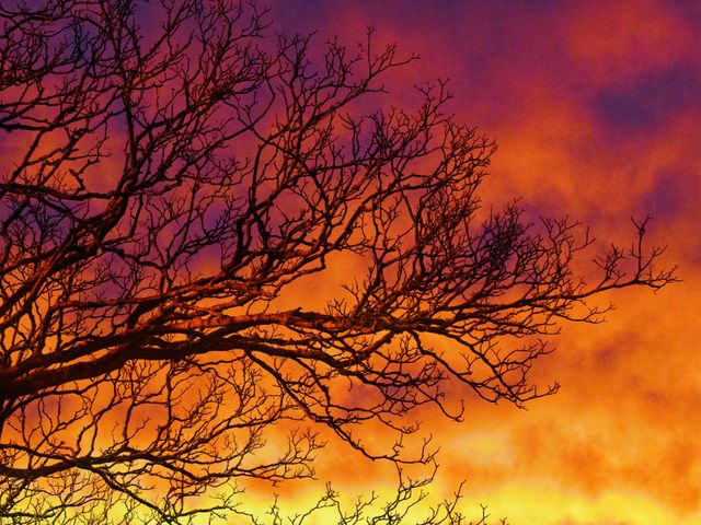 Sunset Trees Clouds - Download Free Stock Photos Pikwizard.com
