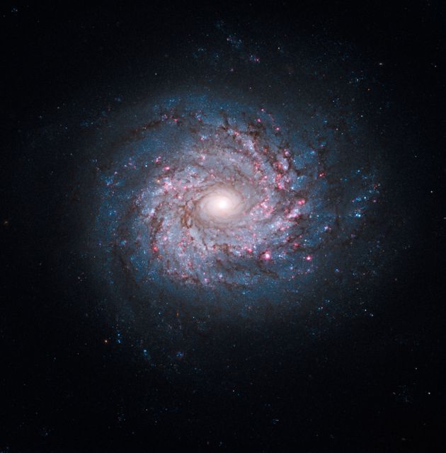 Hubble Sees Pinwheel of Star Birth - Download Free Stock Photos Pikwizard.com