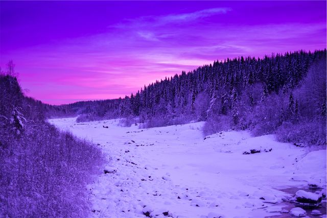 Sunset purple sky- Download Free Stock Photos Pikwizard.com