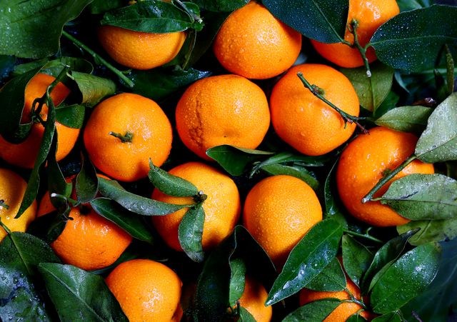 Orange Citrus Fruit - Download Free Stock Photos Pikwizard.com
