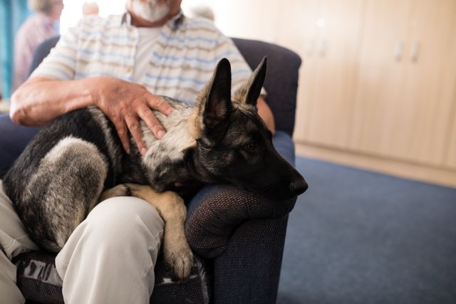 Midsection of senior man sitting with puppy on armchair at retirement home
