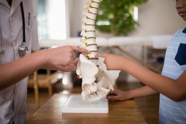 Midsection of female therapist and boy pointing at artificial spine on table - Download Free Stock Photos Pikwizard.com