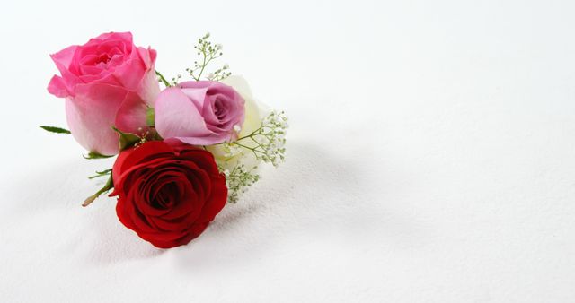 Bouquet of red, white and pink roses on black surface - Download Free Stock Photos Pikwizard.com