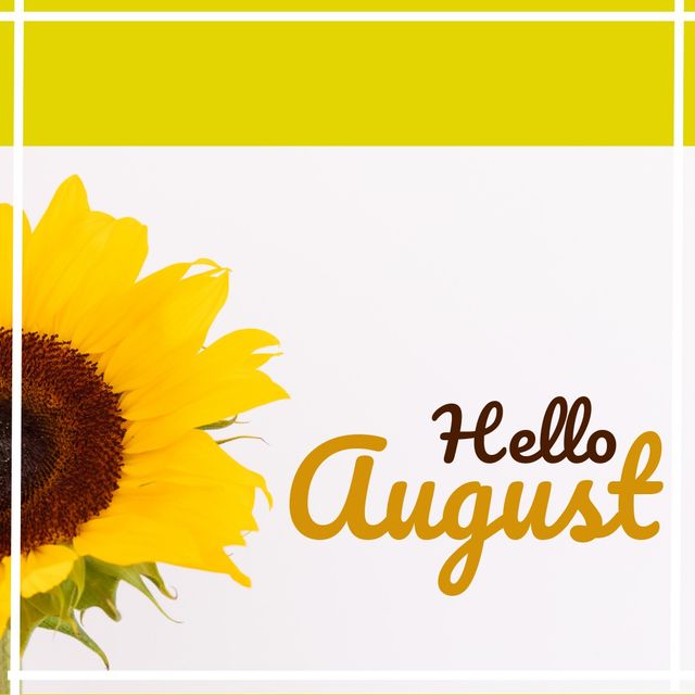 Digital composite of hello august text and sunflower against yellow and white background, copy space - Download Free Stock Templates Pikwizard.com