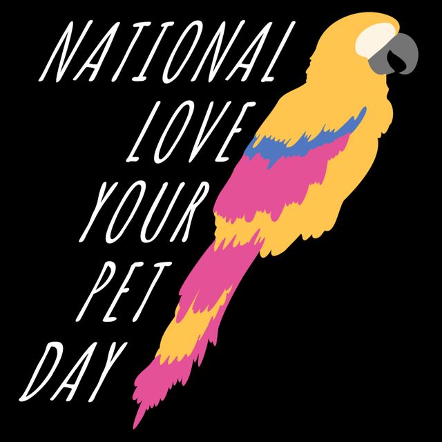 Composition of national love your pet day text with parrot icon on black background. Animals, celebration, templates and background concept digitally generated image.