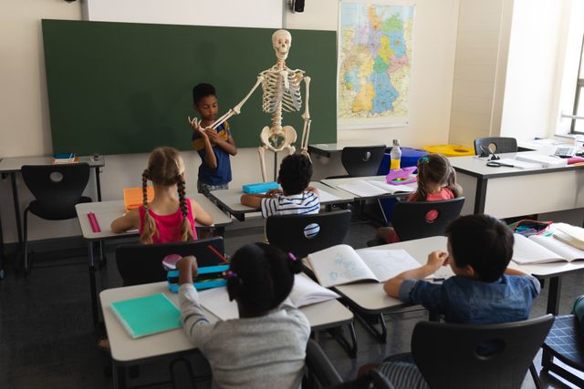 Rear view of schoolboy explaining human skeleton model in classroom - Download Free Stock Photos Pikwizard.com