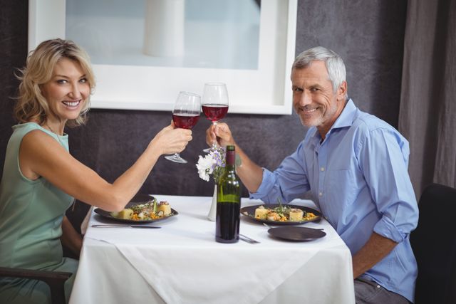 Portrait of mature couple toasting their glasses of red wine - Download Free Stock Photos Pikwizard.com