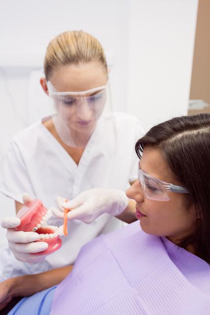 Dentist showing model teeth to female patient - Download Free Stock Photos Pikwizard.com