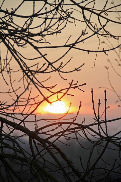 Sun Sunset Sunrise - Download Free Stock Photos Pikwizard.com