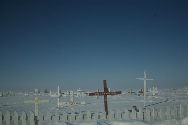 Memorial crosses - Download Free Stock Photos Pikwizard.com