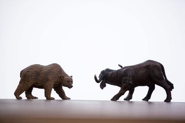 Conceptual image of miniature bear and charging buffalo