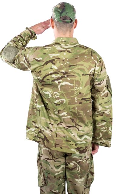 Rear view of soldier saluting - Download Free Stock Photos Pikwizard.com