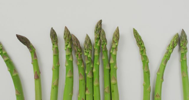 Image of fresh asparagus over white background - Download Free Stock Photos Pikwizard.com