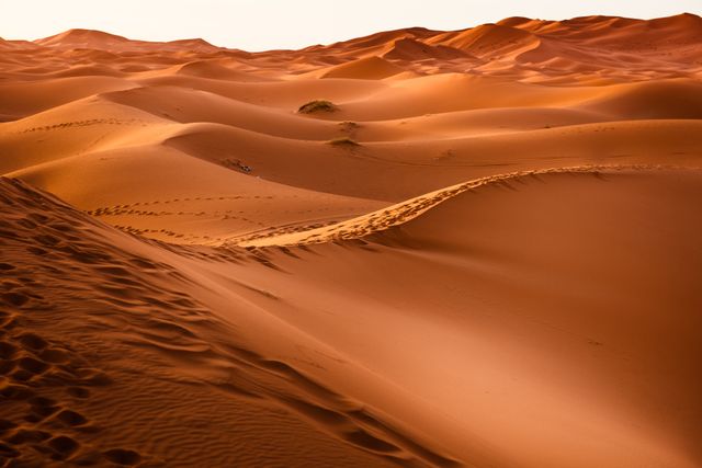 Dawn desert dry dune - Download Free Stock Photos Pikwizard.com