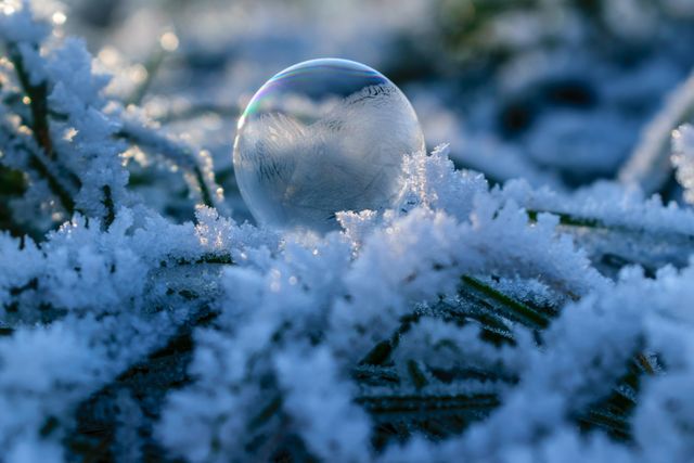 Close up of a glass ball in the snow. winter season concept