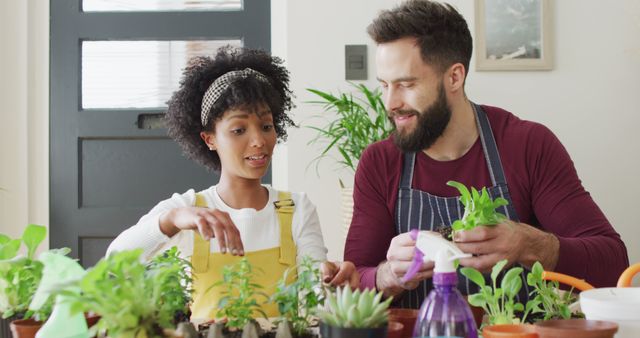 Image of happy diverse couple having fun potting seedlings and tending to plants at home. Happiness, inclusivity, free time, ecology, togetherness and domestic life.